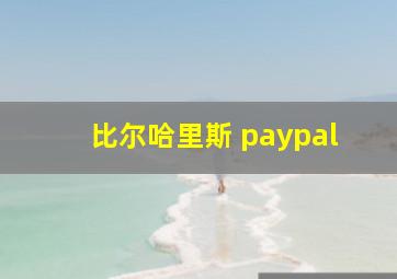 比尔哈里斯 paypal